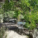 Forest Avec Piscine Dans Les Gorges Du Verdon En Provence Кенсон