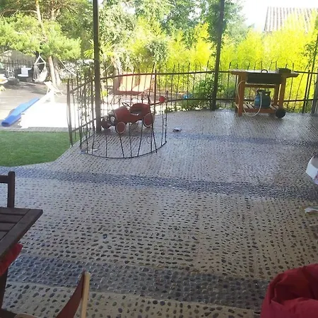 Forest Avec Piscine Dans Les Gorges Du Verdon En Provence Quinson