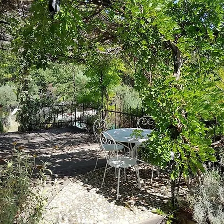 Forest Avec Piscine Dans Les Gorges Du Verdon En Provence Quinson