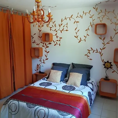 Forest Avec Piscine Dans Les Gorges Du Verdon En Provence Quinson