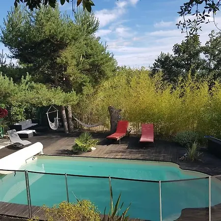 Forest Avec Piscine Dans Les Gorges Du Verdon En Provence